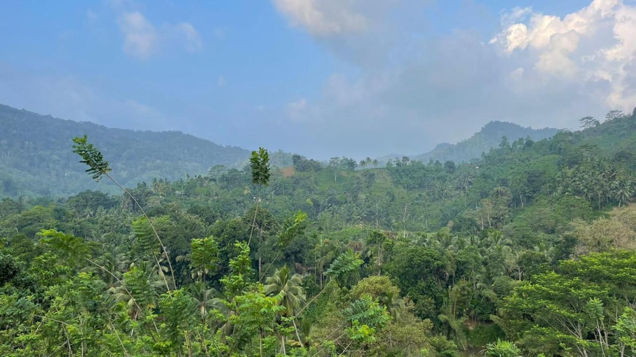 Sinharaja Forest Gate Deniyaya Exterior foto