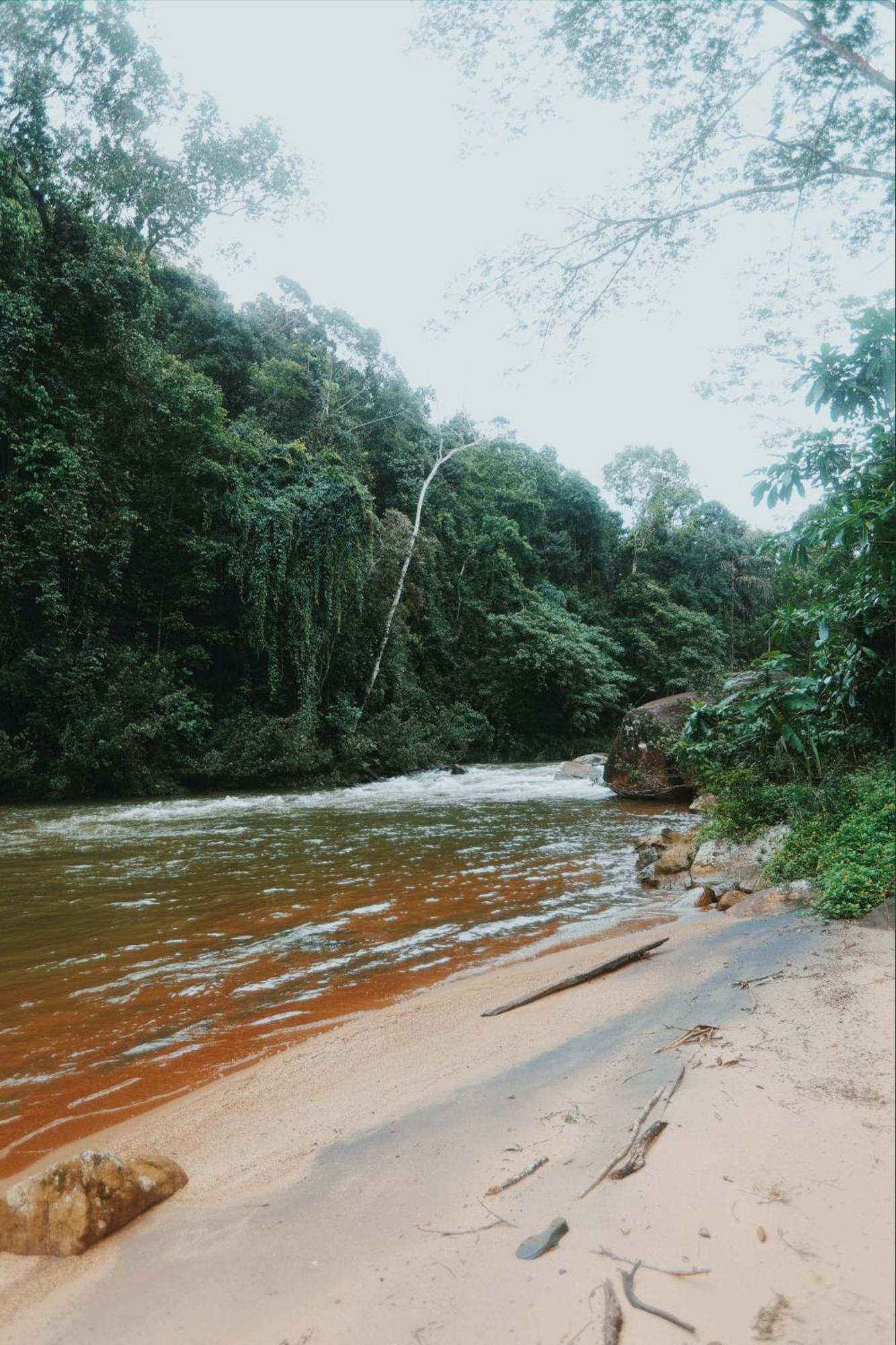 Sinharaja Forest Gate Deniyaya Exterior foto